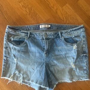 Torrid Denim Blue Women Shorts